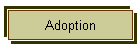 Adoption